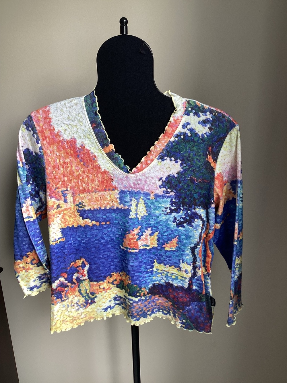 Impulse colorful scenic Vneck top.